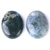 Natural Indian Agate Cabochons PW-WG8E62B-03-2