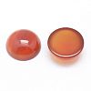 Natural Carnelian Cabochons X-G-P215-15-12mm-1