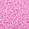 6/0 Glass Seed Beads SEED-T005-14-B12-3