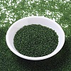 MIYUKI Round Rocailles Beads SEED-G007-RR0158F-1