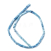 Natural Howlite Beads Strands G-C135-E03-01-3