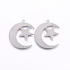 Non-Tarnish 201 Stainless Steel Pendants X-STAS-E438-60P-1