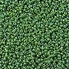 MIYUKI Round Rocailles Beads SEED-G007-RR0480-3
