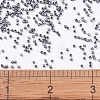 MIYUKI Delica Beads Small SEED-JP0008-DBS0307-4
