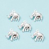 304 Stainless Steel Charms STAS-H413-13S-2
