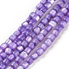 Natural Trochus Shell Beads Strands SSHEL-H070-02-3