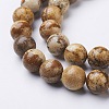 Natural Gemstone Beads Strands GSR10mmC016-2