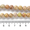 Dyed Natural Regalite/Imperial Jasper/Sea Sediment Jasper Beads Strands G-B124-C01-08-5