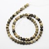 Natural Dendritic Jasper Frosted Round Beads Strands G-O039-01-6mm-2