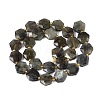 Natural Labradorite Beads Strands G-N368-01A-07-3