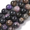 Natural Charoite Beads Strands G-C270-O03-10-2