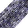 Natural Cordierite/Iolite/Dichroite Beads Strands G-E411-39-2mm-1