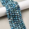 Natural Apatite Beads Strands G-G858-01B-01-5