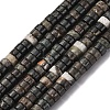Natural Biotite Beads Strands G-L624-I12-3x6mm-2