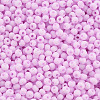 8/0 Opaque Glass Seed Beads X1-SEED-S048-N-004-3