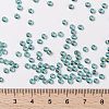 MIYUKI Round Rocailles Beads X-SEED-G009-RR3741-4