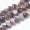 Round Natural Botswana Agate Bead Strands G-I166-02-6mm-2