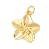 Brass Pendants KK-A266-14G-1