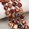 Natural Fire Crackle Agate Beads Strands G-K393-E01-10x12-1