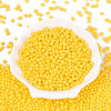 Baking Paint Glass Seed Beads SEED-N007-29F-2