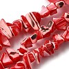 Natural Trochid Shell/Trochus Shell Beads Strands SHEL-B003-02I-1