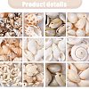 DIY Conch Shell Starfish Turtles Beads Findings Kits DIY-FS0010-25-3