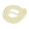 Baking Paint Glass Pearl Beads Strands DGLA-ZX001-05B-04-2