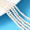 Natural Cultured Freshwater Pearl Beads Strands PEAR-I007-07L-06-1