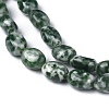 Natural Green Spot Jasper Beads Strands G-Z006-A22-2