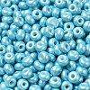 Baking Paint Luster Glass Seed Beads X1-SEED-B001-04A-03-3