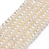 Natural Cultured Freshwater Pearl Beads Strands PEAR-A005-03B-01-1