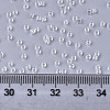 Glass Seed Beads SEED-S042-11B-08-4