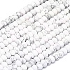 Natural Howlite Beads Strands G-P575-A32-6x4mm-2