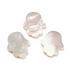 Natural Sea Shell Cabochons SHEL-D079-07-1