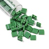 520Pcs 2 Style 2-Hole Glass Seed Beads SEED-NB0001-72B-2