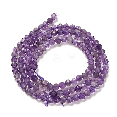 Natural Amethyst Beads Strands G-K373-B03-03-1