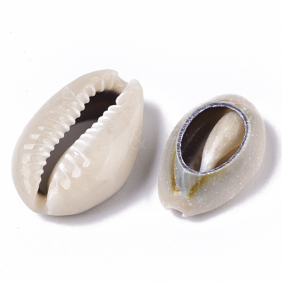 Natural Cowrie Shell Beads SSHEL-N034-33-1
