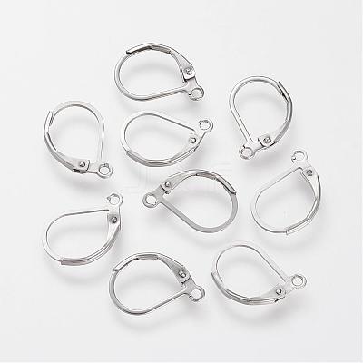 Tarnish Resistant 304 Stainless Steel Leverback Earring Findings STAS-S066-13-1