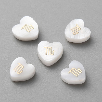 5Pcs Natural White Shell Beads BSHE-TAC0004-02J-1