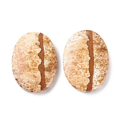 Natural Picture Jasper Cabochons G-D478-03D-01-1