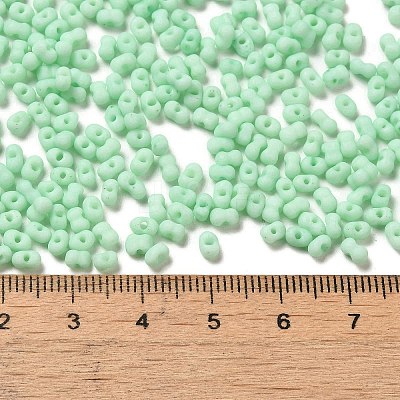 Glass Frosted Seed Beads SEED-K009-05B-05-1