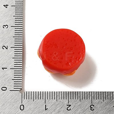 Opaque Resin Imitation Food Decoden Cabochons LS-CRES-A058-02E-1