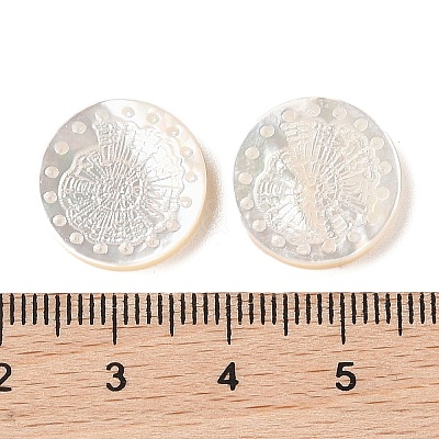 Natural White Shell Carved Cabochons SSHEL-C012-22A-1