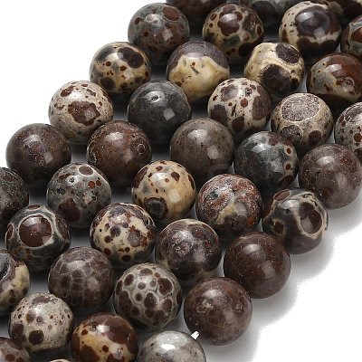 Natural Astroite Jasper Beads Strands G-H329-C02-10mm-1