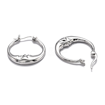 Brass Micro Pave Clear Cubic Zirconia Hoop Earrings EJEW-J101-28P-1