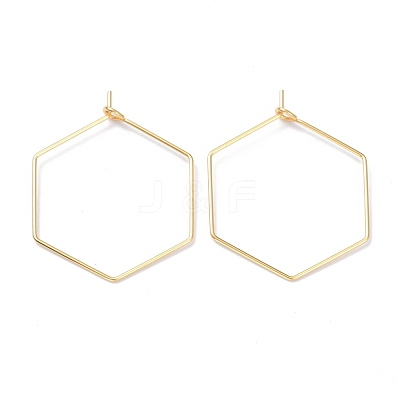 316 Stainless Steel Hoop Earring Findings X-STAS-K216-03B-G-1