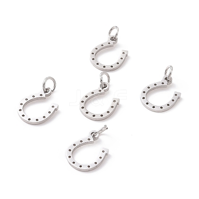 Tarnish Resistant 304 Stainless Steel Charms LS-STAS-S105-T519S-1