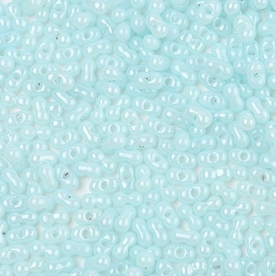 Baking Paint Glass Seed Beads SEED-L011-09A-08-1