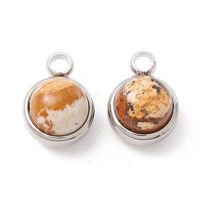 Natural Picture Jasper Charms G-K325-01P-06-1