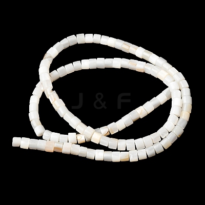 Natural Freshwater Shell Beads Strands SHEL-K006-07-1